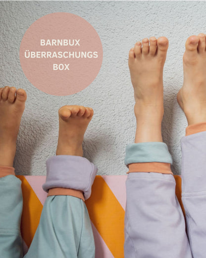 BARNBUX BOX | Überraschungsbox