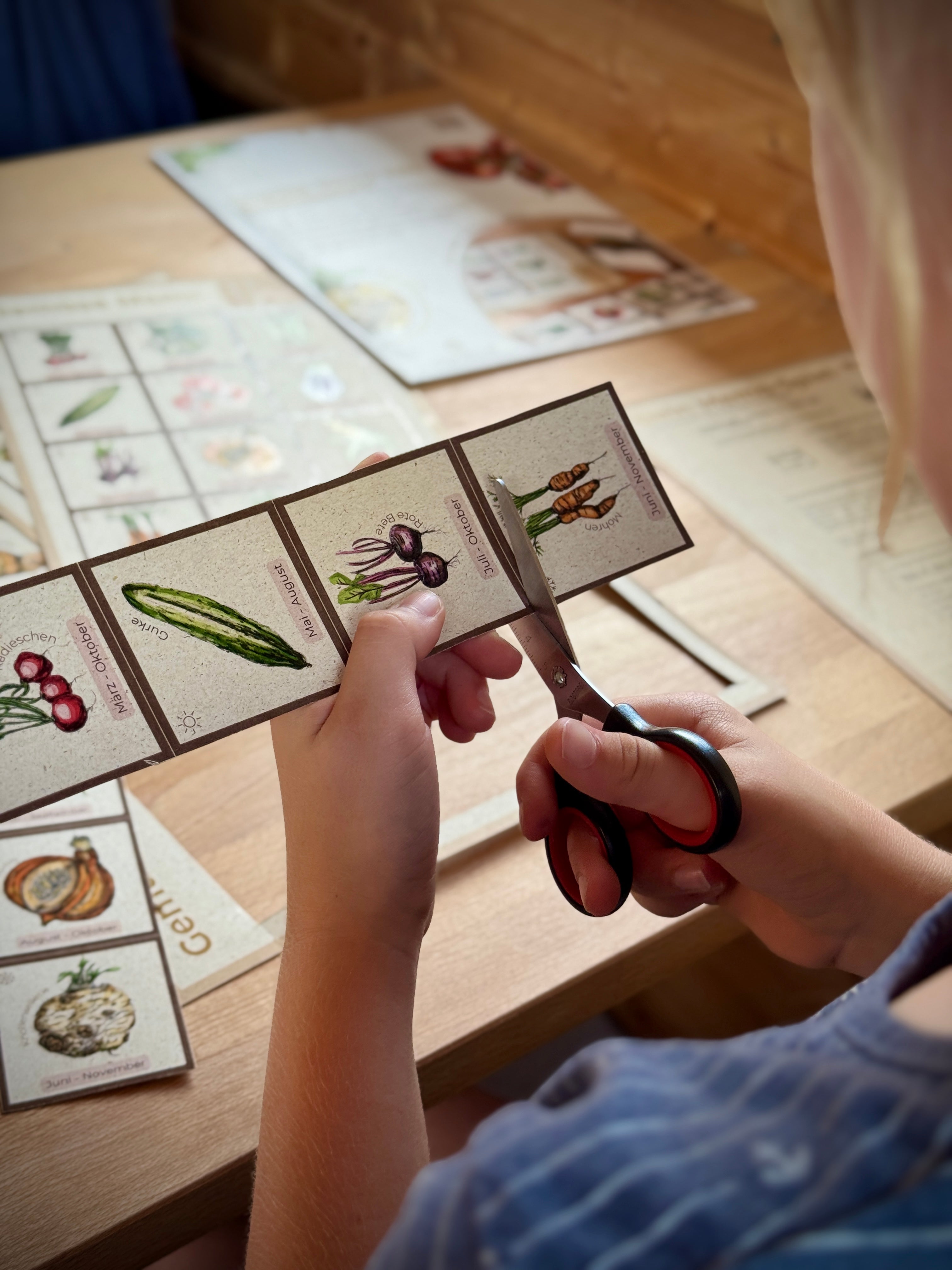 Memo-Spiel Gemüse – Cepallo